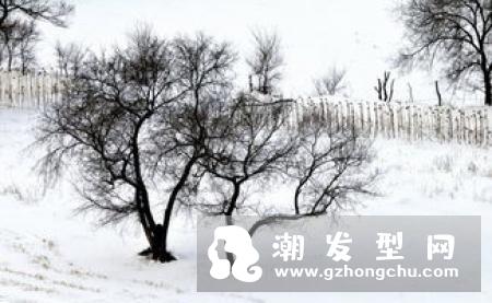 橘色头发显白吗 怎么调配方法