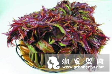 掉头发吃黑豆有用吗 怎么吃能治