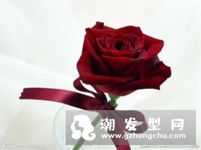 玫瑰金发色调配方法 掉色之后是什么颜色