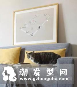 swissopar小枕头护发素怎么用 哪个颜色好