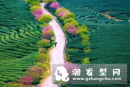 不烫不染的自然短发 简约中不乏小清新范