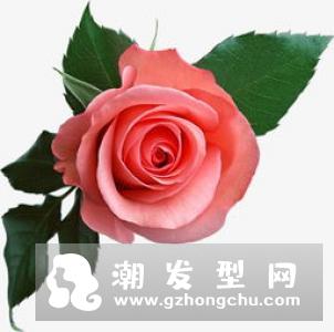 玫瑰金发色调配方法 掉色之后是什么颜色