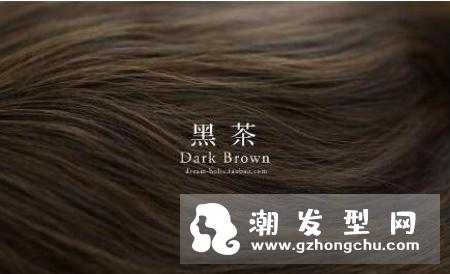 黑茶色染发剂怎么调 和黑色头发图片对比