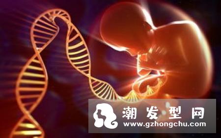 碱性洗发水的危害 怎么辨认