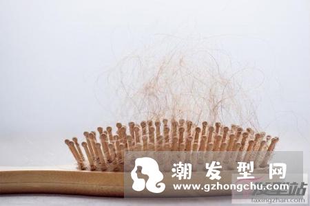 头发稀疏如何改善 必吃6款护发黄金食品解决头发稀疏