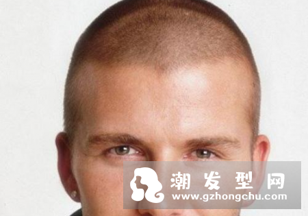杨梅头适合短发吗 和圆寸的区别