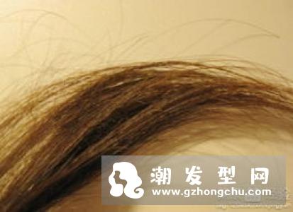 发质有哪几种？不同发质养护方法大不一样！