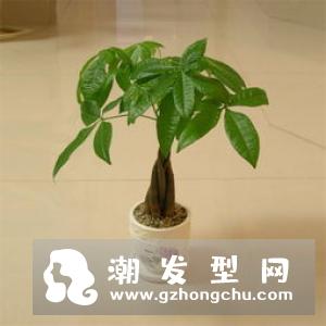 护发素用太多有什么危害