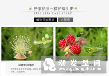 滋源护发素怎么用 哪款好