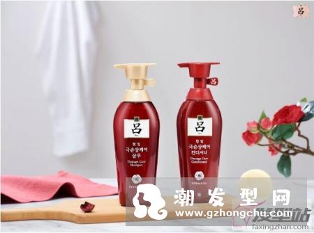 专为染后设计的发品,不仅能改善受损发质,连头皮也能一并保养