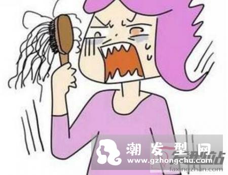 掉发与体“热”有关远离脂肪和胆固醇含量高的食物