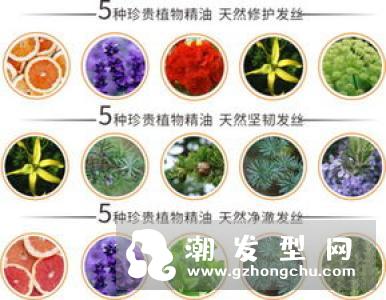 头油,头痒,有臭味用什么洗发水 7款让夏天的头皮依旧清爽洁净洗发水推荐