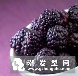 吃桑葚长头发吃多少 什么人不能吃