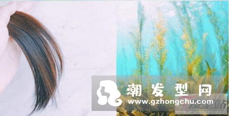 沙宣轻润裸感洗发水好吗 贵妇圈中疯抢的洗发界海洋拉娜