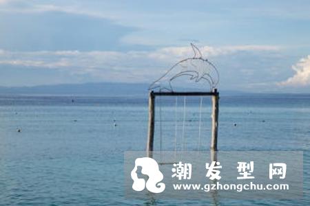 藿香正气水可以洗头吗怎么洗