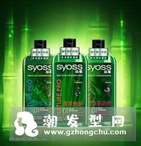 丝蕴洗发水怎么样 价格多少钱