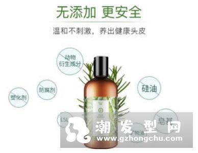 头油,头痒,有臭味用什么洗发水 7款让夏天的头皮依旧清爽洁净洗发水推荐
