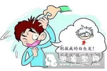 长白头发是缺少什么元素 白发治疗与预防民间偏方