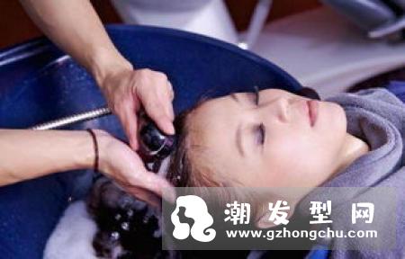 “桑寄生红枣补血茶”食谱改善脱发问题