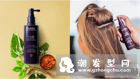 头皮护理精华液排行 网友热推排行TOP5你用过没？