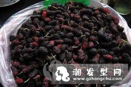 吃桑葚长头发吃多少 什么人不能吃