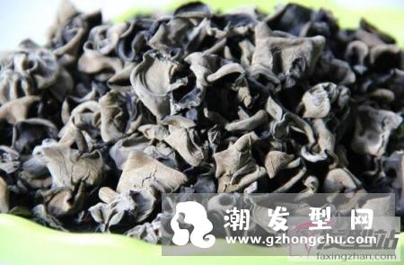 从头发就能反映我们的肝肾状态 肝肾顾好头皮毛囊和头发问题迎刃而解