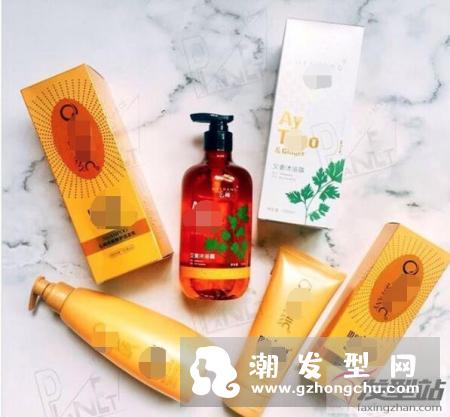 “桑寄生红枣补血茶”食谱改善脱发问题