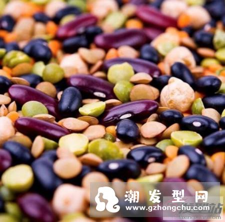 “桑寄生红枣补血茶”食谱改善脱发问题