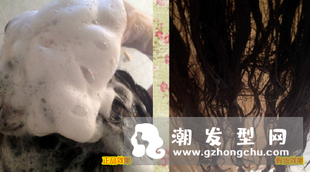 吕洗发水哪个颜色好用 怎么辨别真假