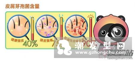 洗完头发自然干好还是吹干好 专家建议：最好还是尽快把头发吹干
