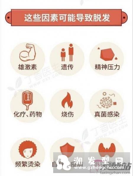 我国脱发人群超2.5亿 如何有效预防和治疗脱发