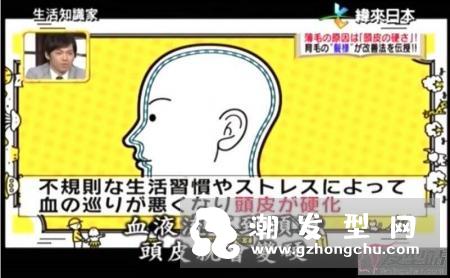头皮上很多黑头粉刺怎么办 即学头皮清洁2大方法清洁头皮