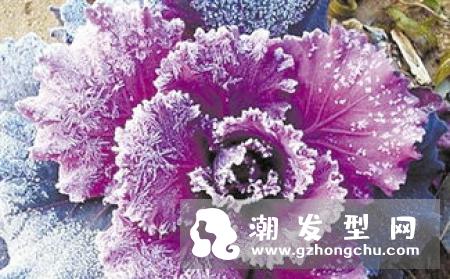 夏季常见的四大秀发问题 对症下药让秀发永葆健康