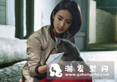 老男孩林依晨发型发色是什么 同款四六偏分短直发怎么护发