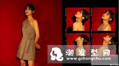 辛芷蕾最新中短发发型讨论度爆高 五特色人人都能驾驭！