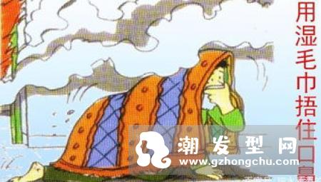 “桑寄生红枣补血茶”食谱改善脱发问题