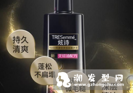 炫诗洗发水怎么样 价格多少钱