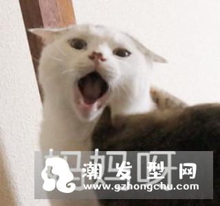 种植头发要剃光头吗 有后遗症吗