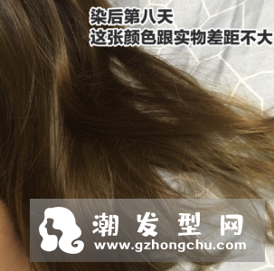 布丁染发4.31是什么颜色 掉色后是什么颜色