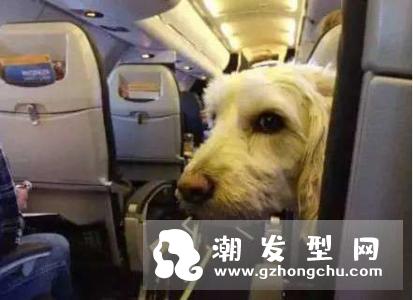 坐飞机可以带卷发棒吗 卷发棒是可以托运的
