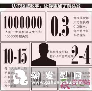 头发经常脱发 怎么护理发型
