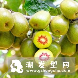 油性头发吃什么好？吃这些食物可以让你油性头发有很大改善