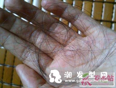 多食用黑豆,更可令头发变得乌黑有光泽_健康频道