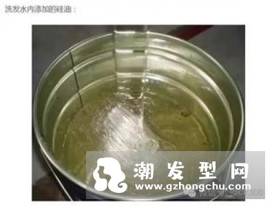 滋源生姜洗发水535ml(油性头皮适用)