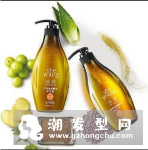 滋源生姜洗发水535ml(油性头皮适用)