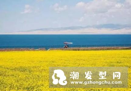 黑蓝色是什么颜色 在阳光下是什么颜色