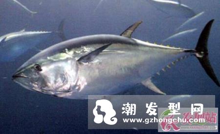 头发长的太慢留不长？五种食物应该避免