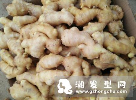 生姜洗发水适合什么人用 怎么自制生姜洗发水