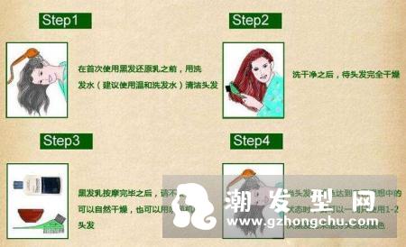 Restoria丽丝雅黑发乳产品介绍 丽丝雅黑发乳使用方法及效果