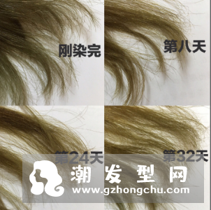 布丁染发4.31是什么颜色 掉色后是什么颜色